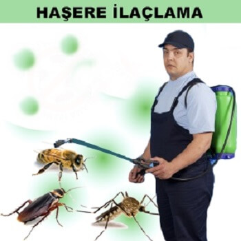 Bulancak Böcek İlaçlama